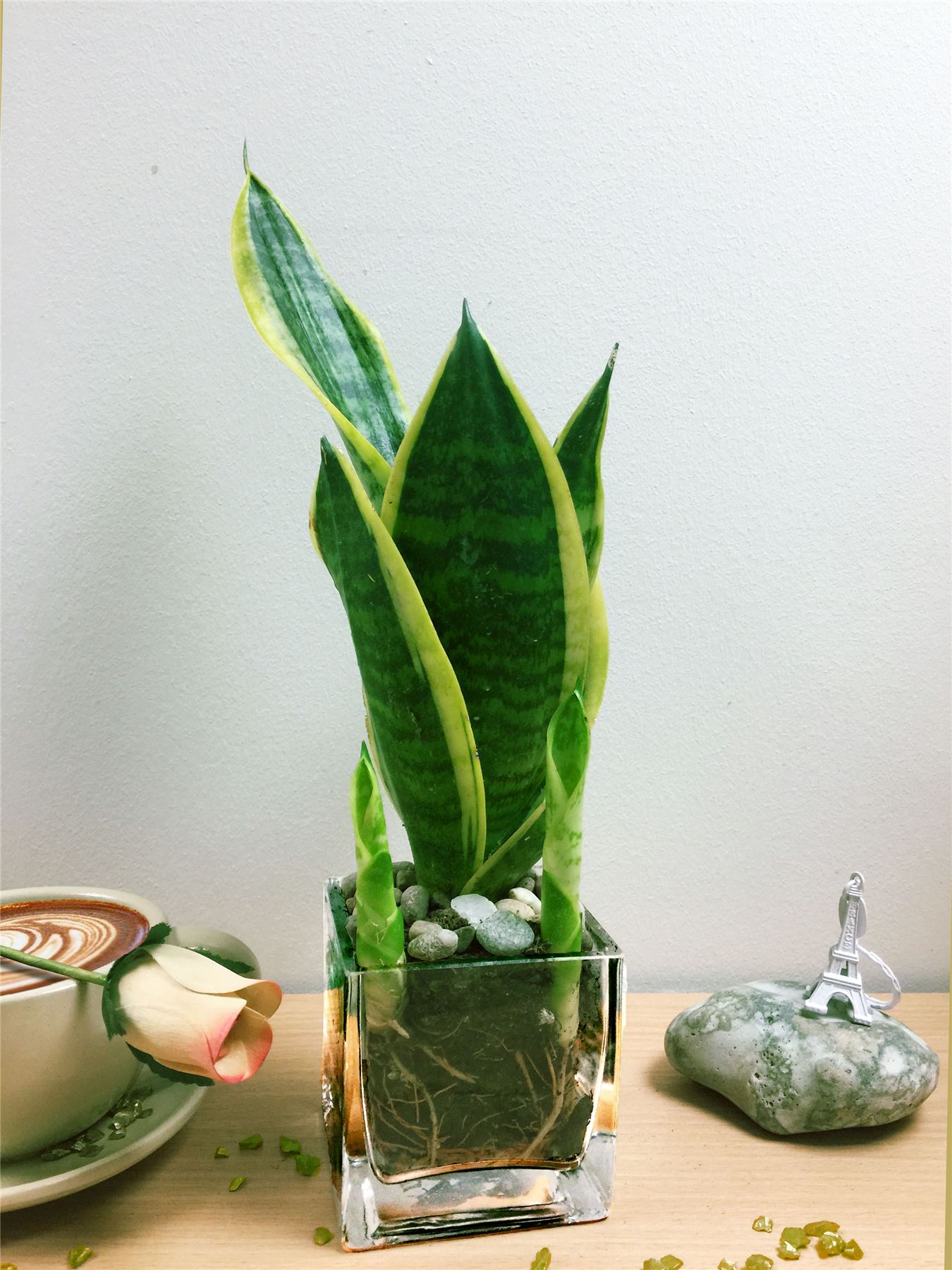 Lovely Table Plant Square Glass Cube Vase Patio House Garden Office