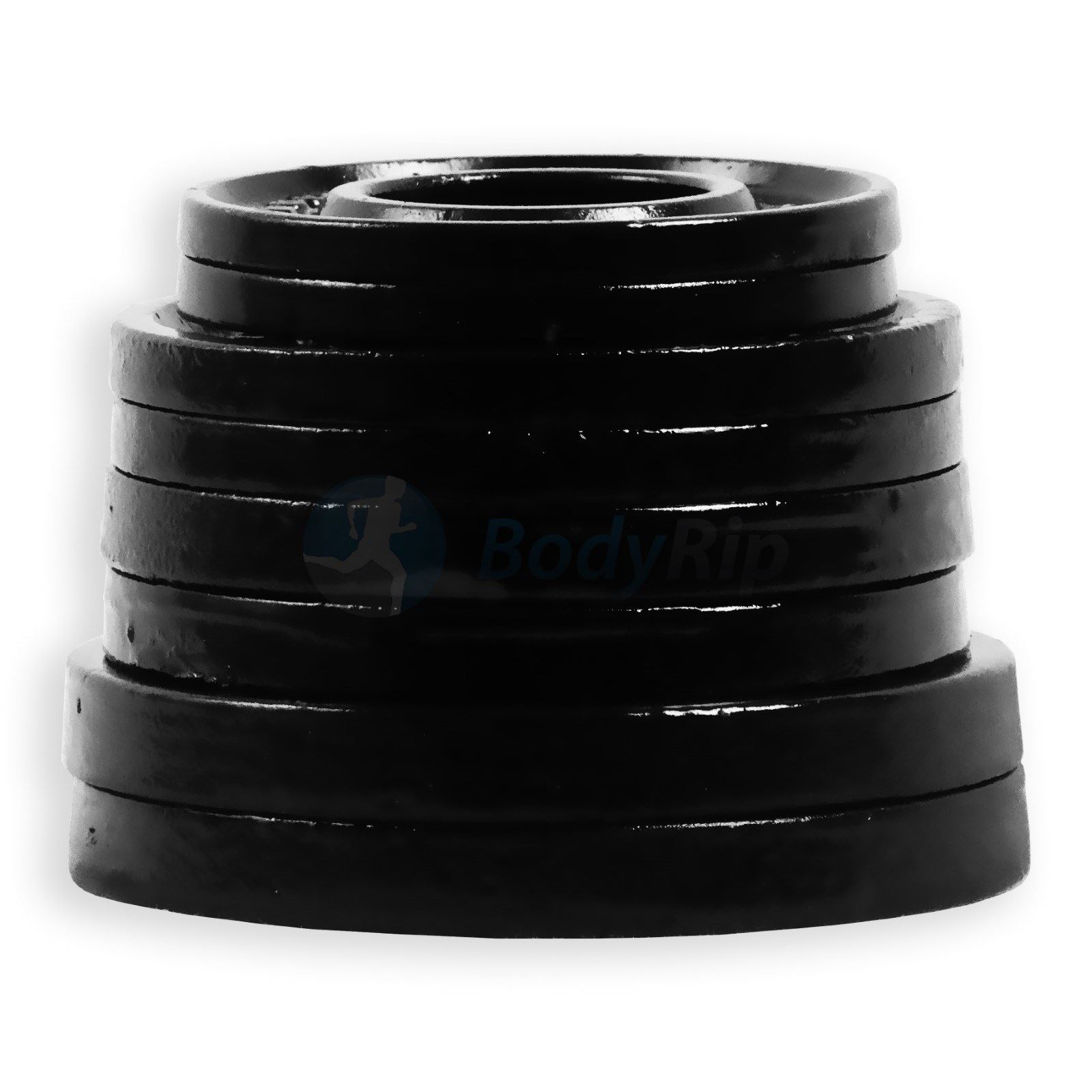 0.25 kg weight plates