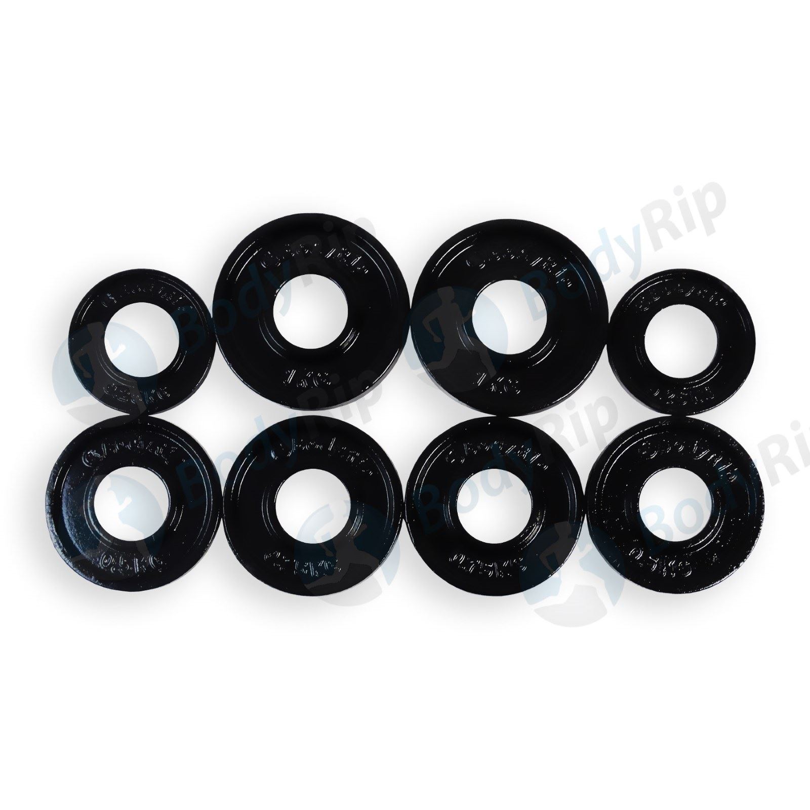 0.25 kg weight plates