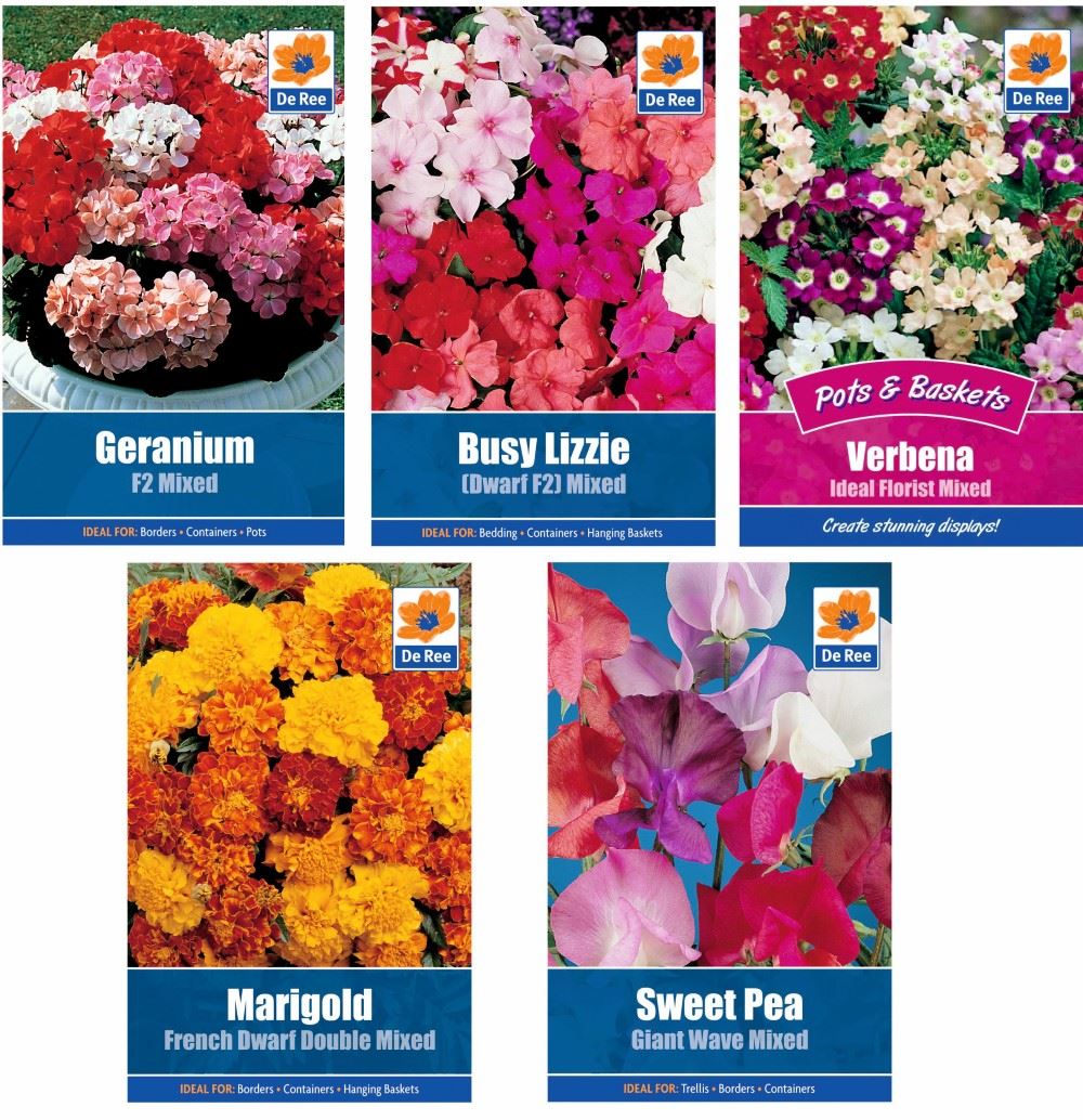 Geranium F2 Mixed Flower Seeds approx. 8 seeds