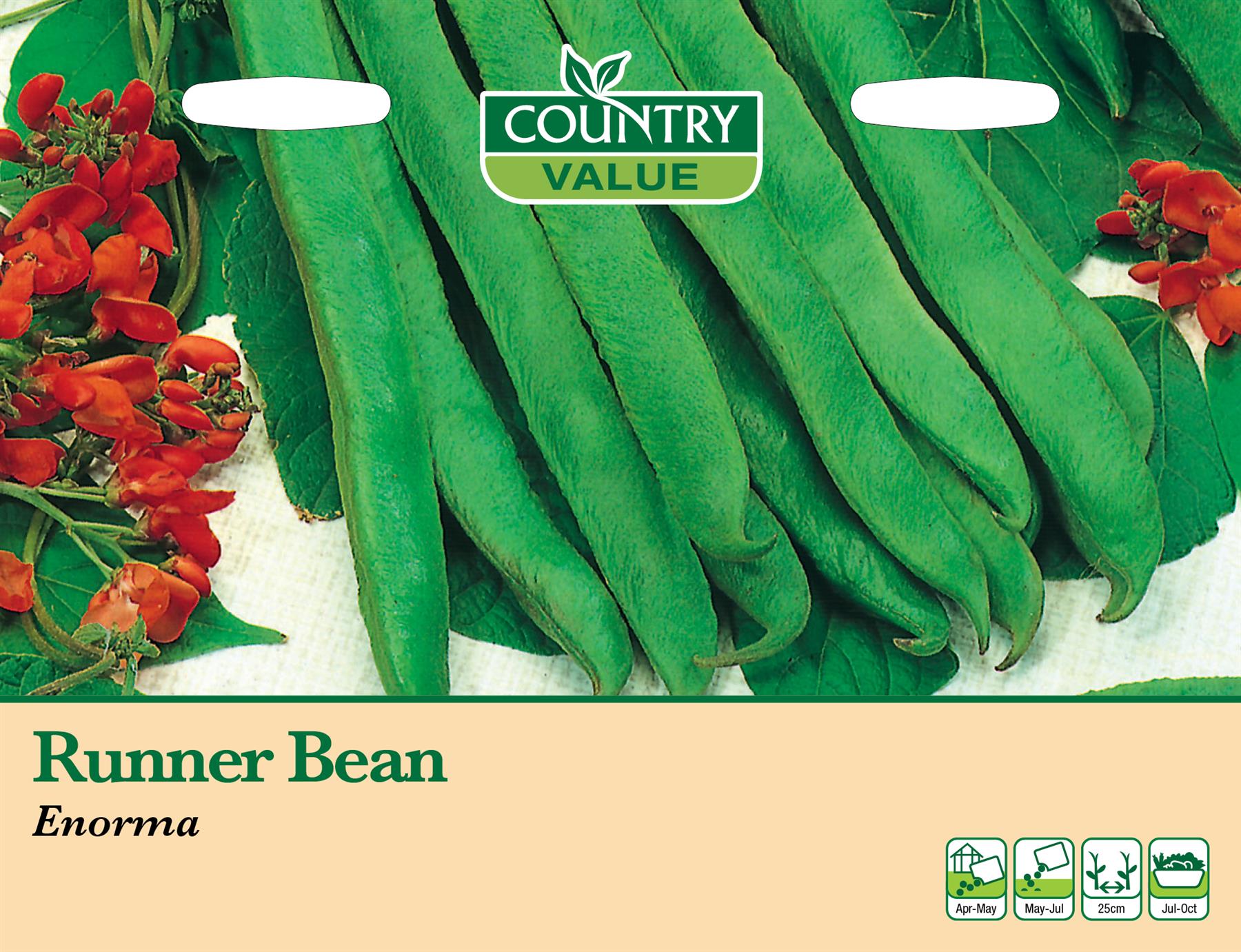 Herb And Vegetable Seeds Mr Fothergills Country Value - Picture 117 of 148