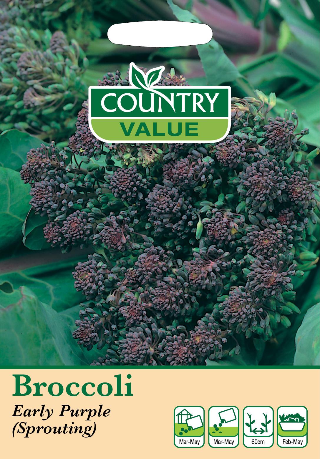 Herb And Vegetable Seeds Mr Fothergills Country Value - Picture 14 of 148