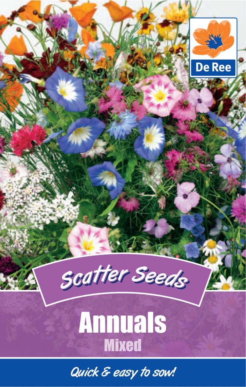 Colourful Flower Scatter Seeds Grow Your Own Flowers Perennials Daisy