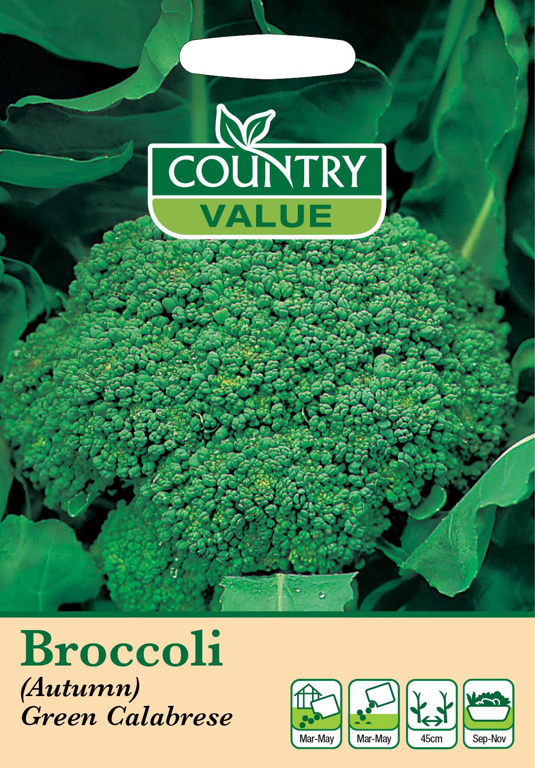 Herb And Vegetable Seeds Mr Fothergills Country Value - Picture 12 of 148