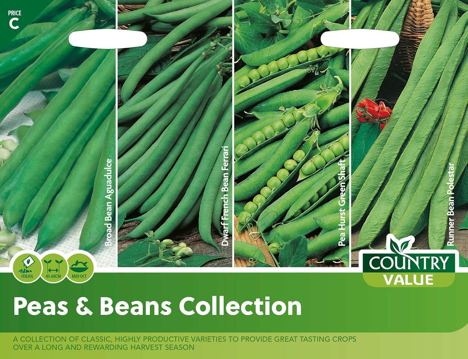 Herb And Vegetable Seeds Mr Fothergills Country Value - Picture 98 of 148