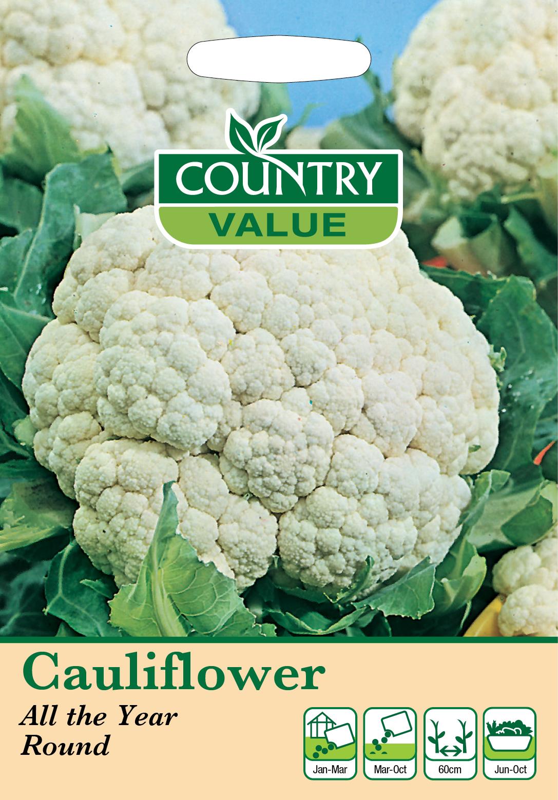 Herb And Vegetable Seeds Mr Fothergills Country Value - Picture 29 of 148