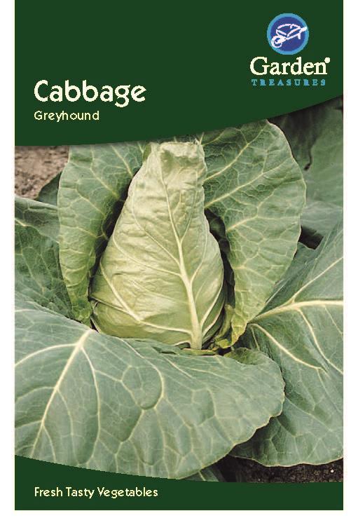 Garden Treasures Fresh Herbs Vegetable Fruit Seeds Grow Your Own Indoor Outdoor - Picture 20 of 58