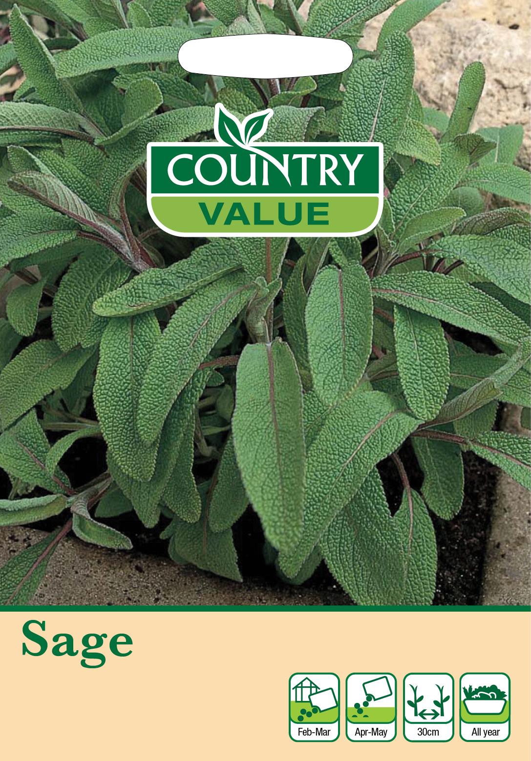 Herb And Vegetable Seeds Mr Fothergills Country Value - Picture 121 of 148