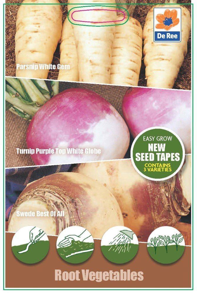 ROOT VEGETABLE Collection SEED TAPES, 3 Vegetable Types TURNIP, PARSNIP, SWEDE eBay