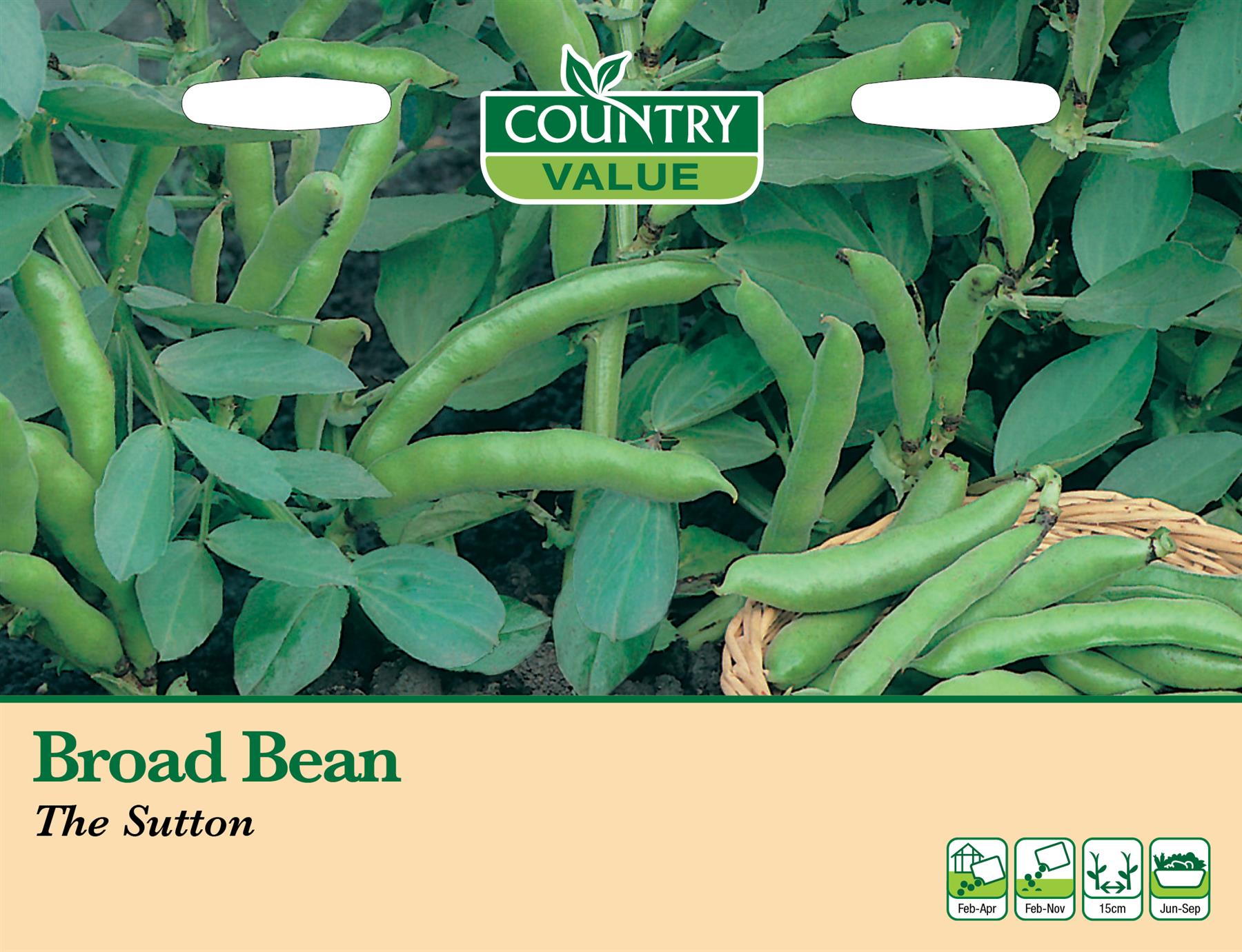 Herb And Vegetable Seeds Mr Fothergills Country Value - Picture 10 of 148