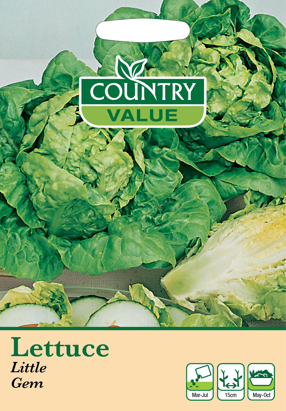 Herb And Vegetable Seeds Mr Fothergills Country Value - Picture 64 of 148