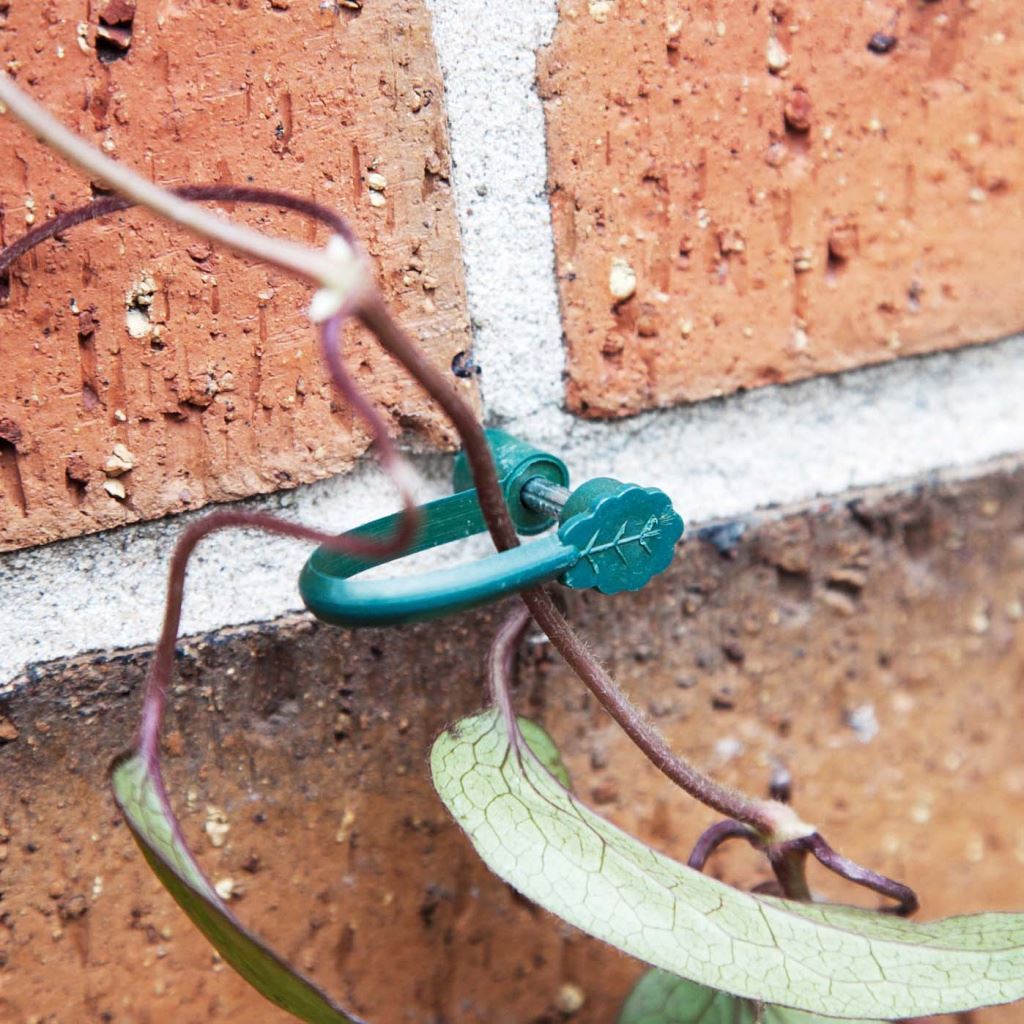 25 x SupaGarden Stem Support Clips