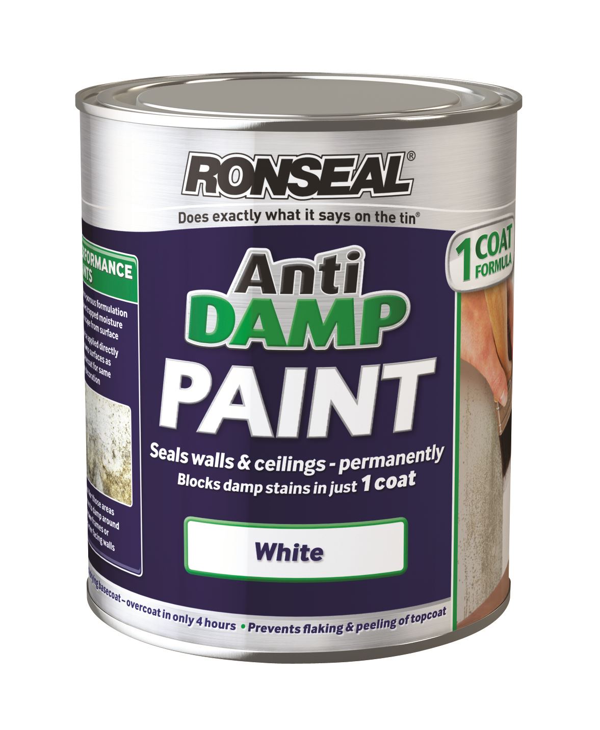 RONSEAL ANTI DAMP / STAIN PAINT WHITE SEALS WALLS & SEALING IN ONE COAT