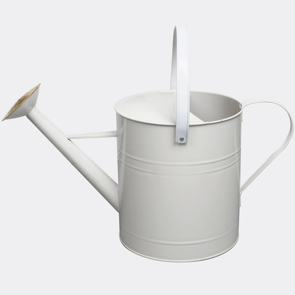 Garden Plant Colour Galvanised Metal Steel Watering Can 9 Litre with