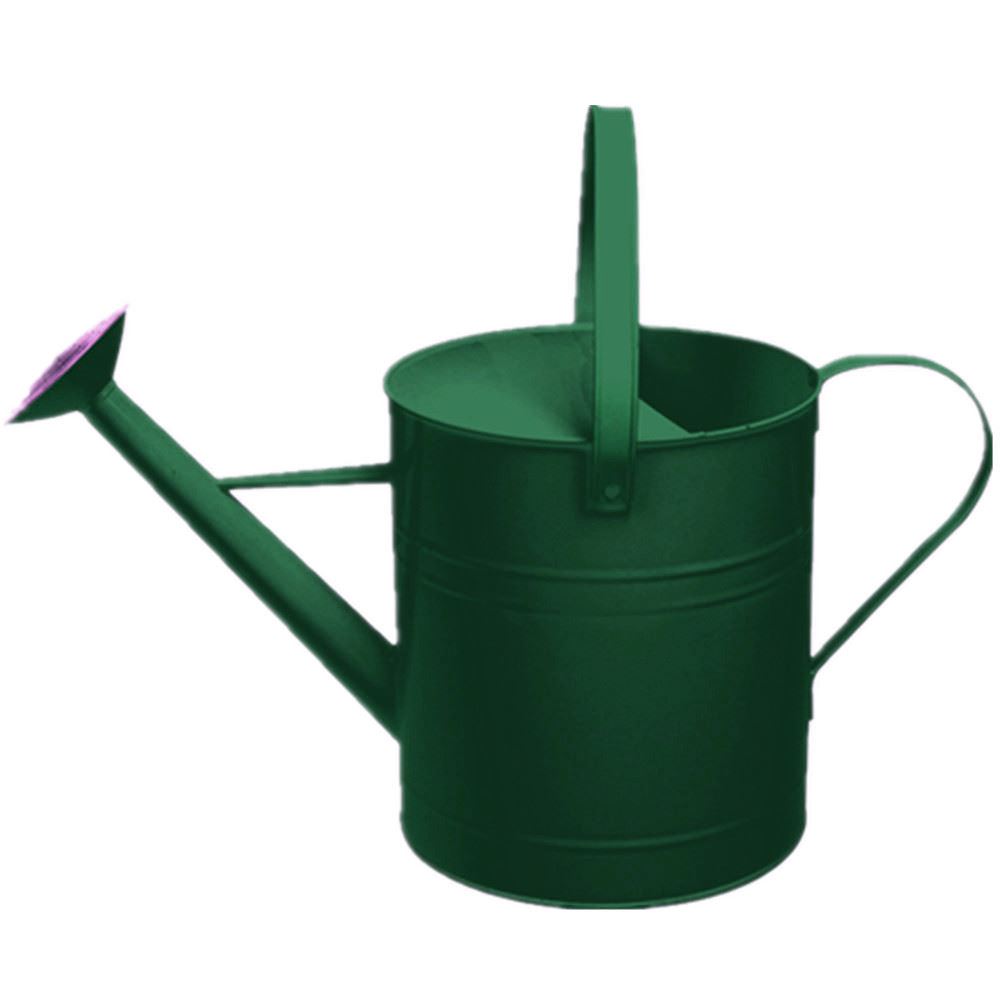 Garden Plant Flower Colour Galvanised Steel Watering Can 9 Litre with