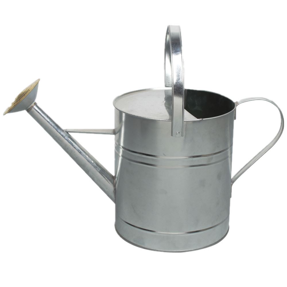 Garden Plant Colour Galvanised Metal Steel Watering Can 9 Litre with