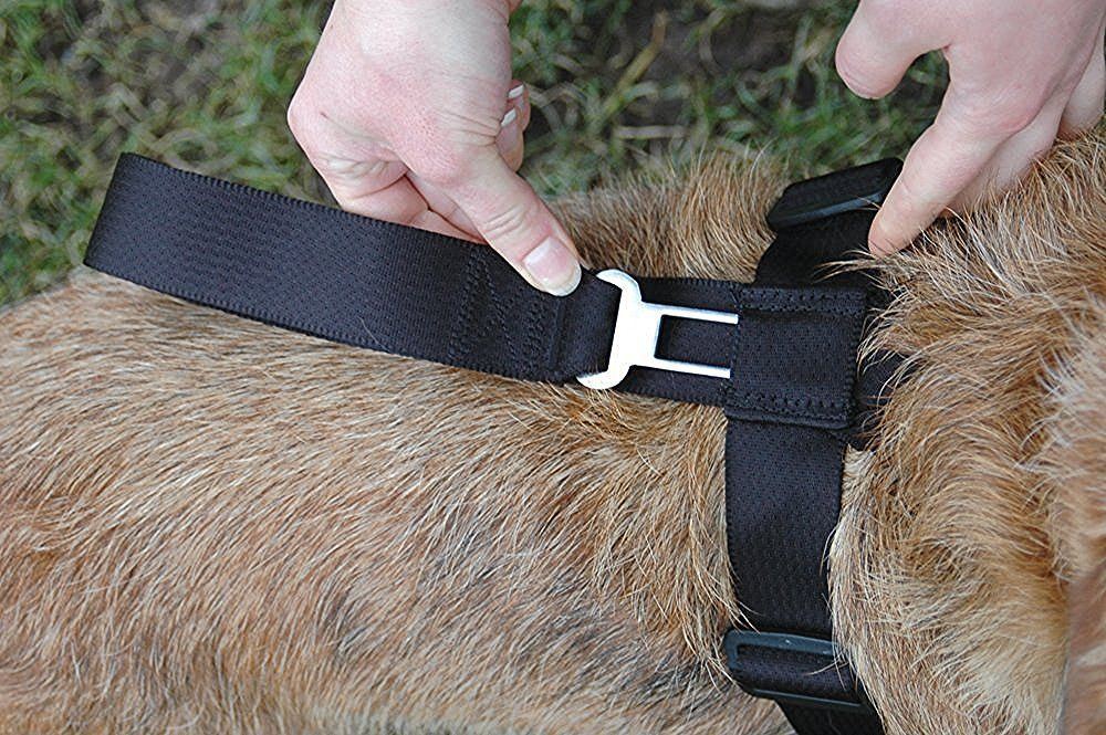 CLIX CAR SAFE DOG/ PUPPY TRAVEL SEAT BELT CLIP SAFETY HARNESS ALL