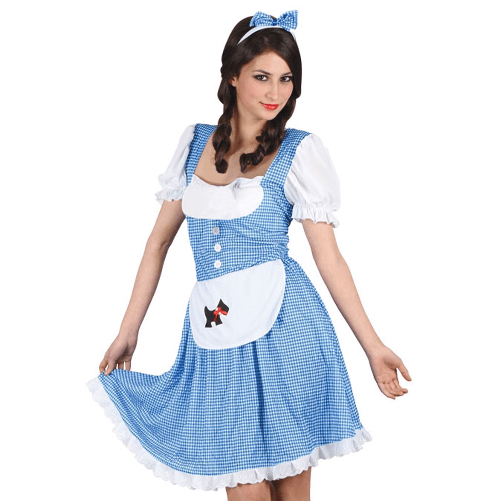 Adult Cute Dorothy Fancy Dress Wizard Of Oz Costume Ladies Womens Female Country Ebay