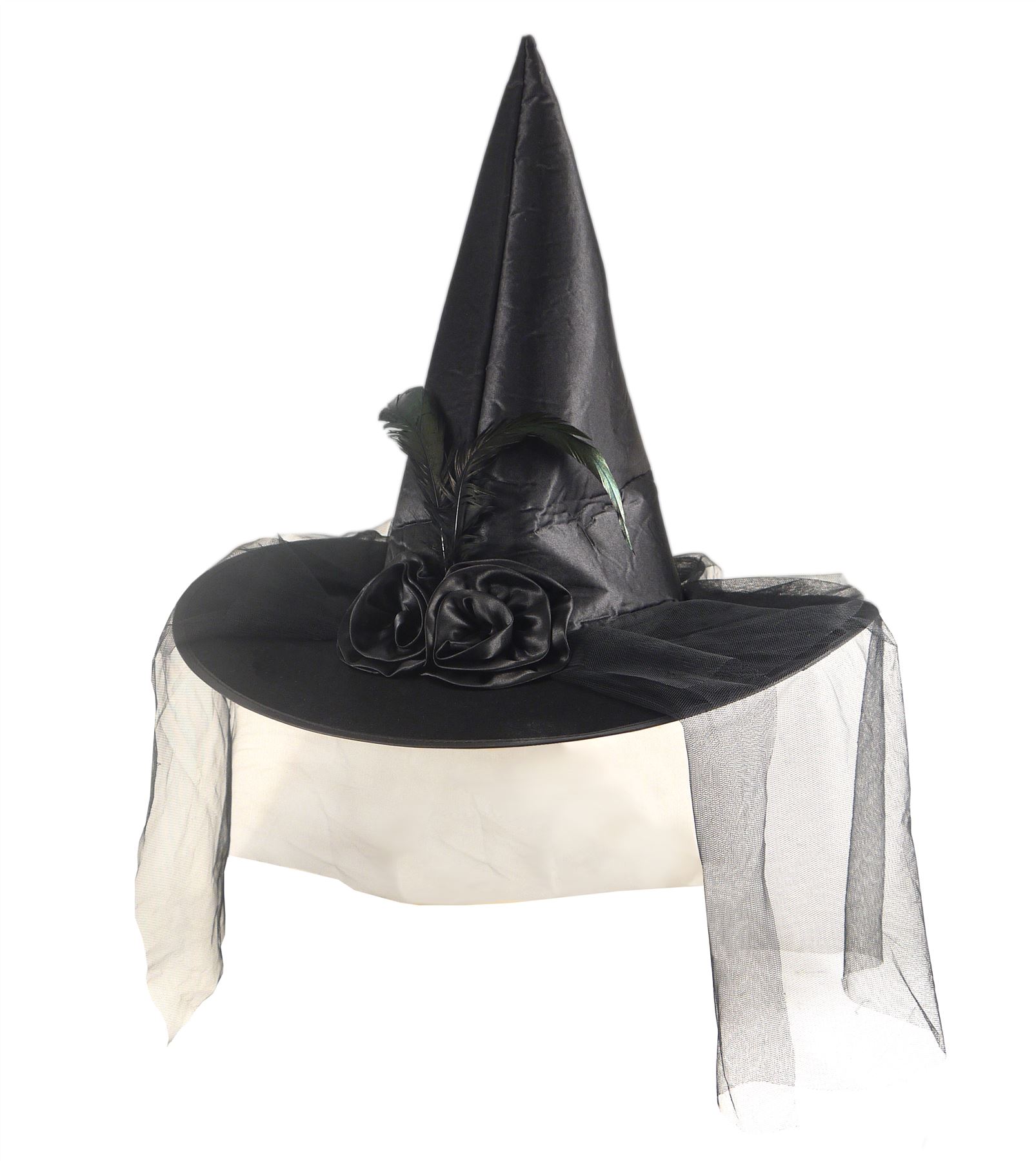 witch hat with veil