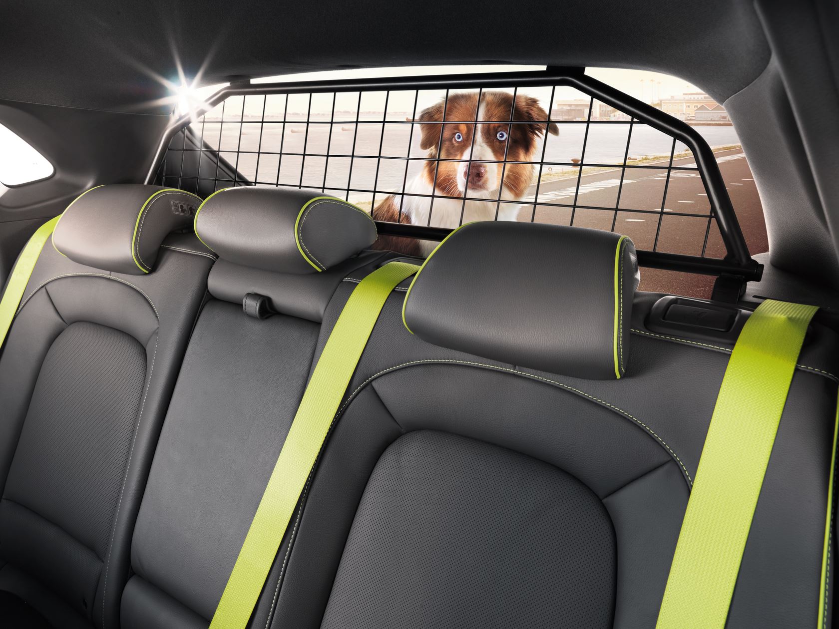 Car Interior Accessories Car Accessories Mesh Headrest Pet Dog
