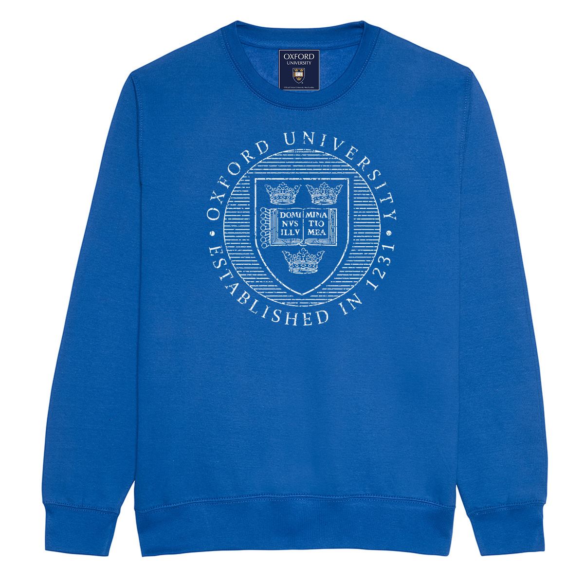 Oxford University Distressed Crest Sweatshirt - Official Merhcandise - Picture 10 of 12