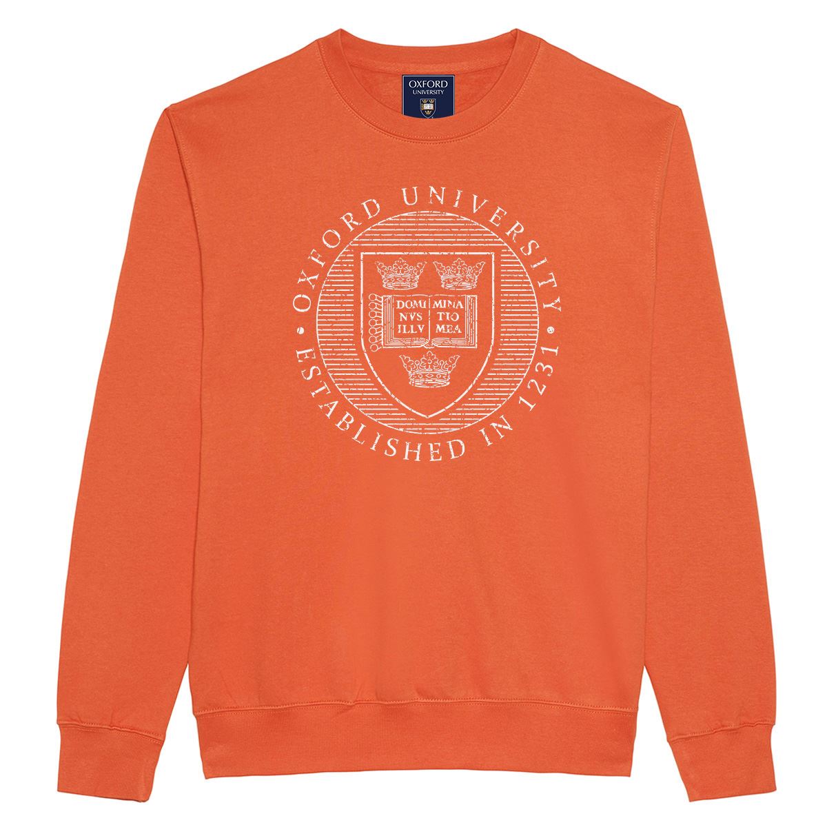 Oxford University Distressed Crest Sweatshirt - Official Merhcandise - Picture 8 of 12