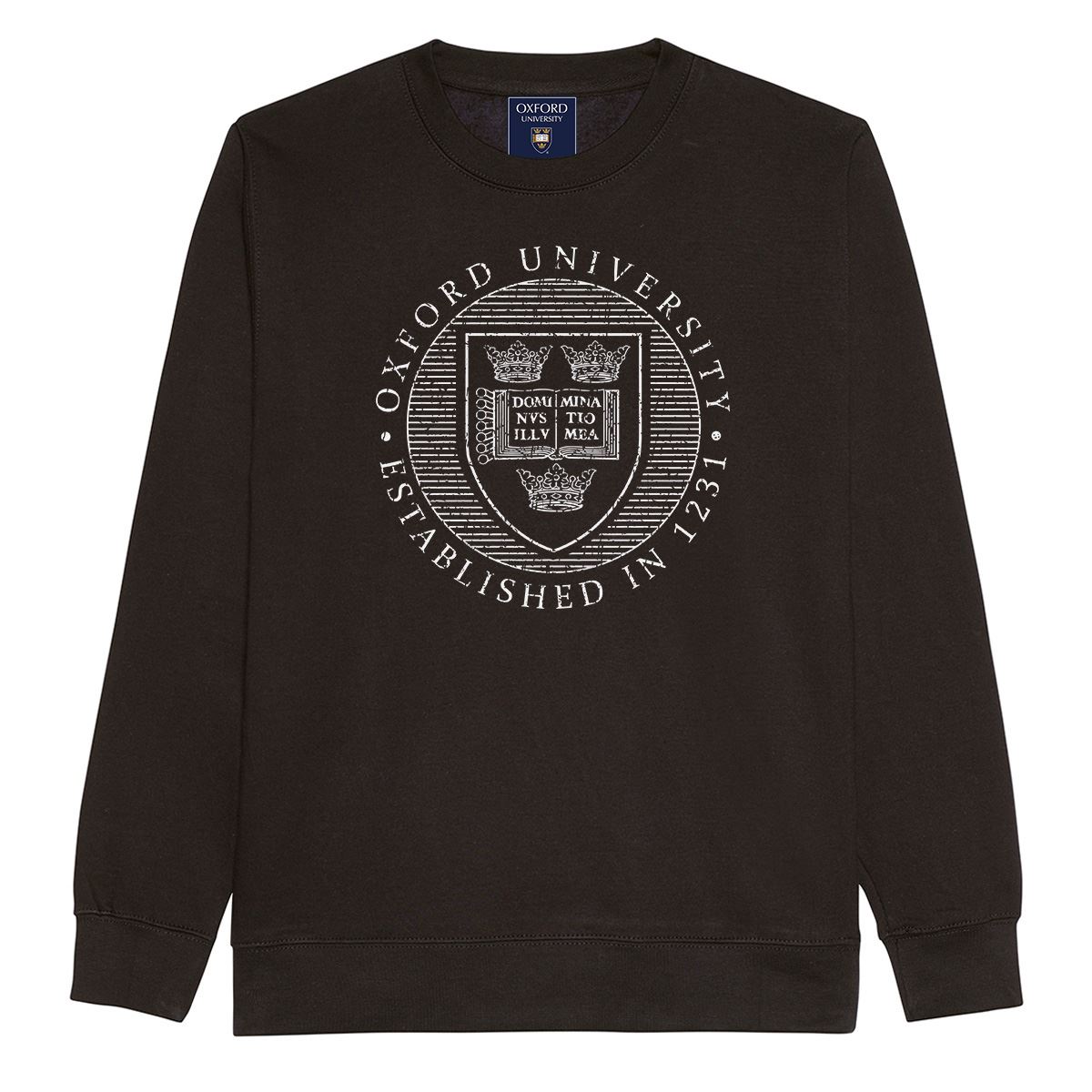 Oxford University Distressed Crest Sweatshirt - Official Merhcandise - Picture 2 of 12