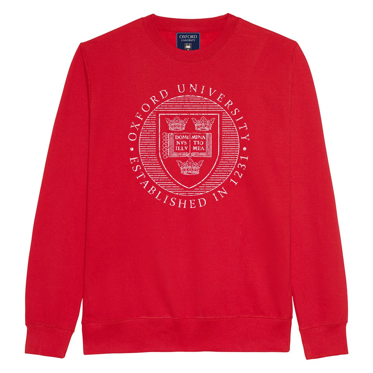 Oxford University Distressed Crest Sweatshirt - Official Merhcandise - Picture 9 of 12
