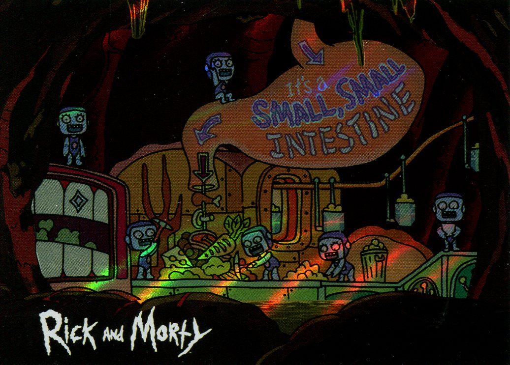 Small Intest Rick And Morty Season 1 Anatomy Park Chase Card AP10 It?s A Small