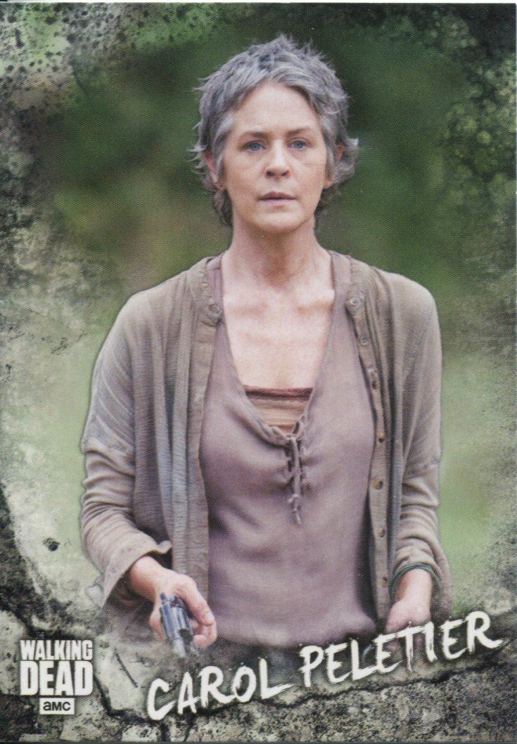 Walking Dead Road To Alexandria Character Chase Card C-4 Shane Walsh