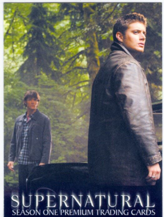 SUPERNATURAL SEASON ONE TRADING CARDS PROMO CARD SN-UK