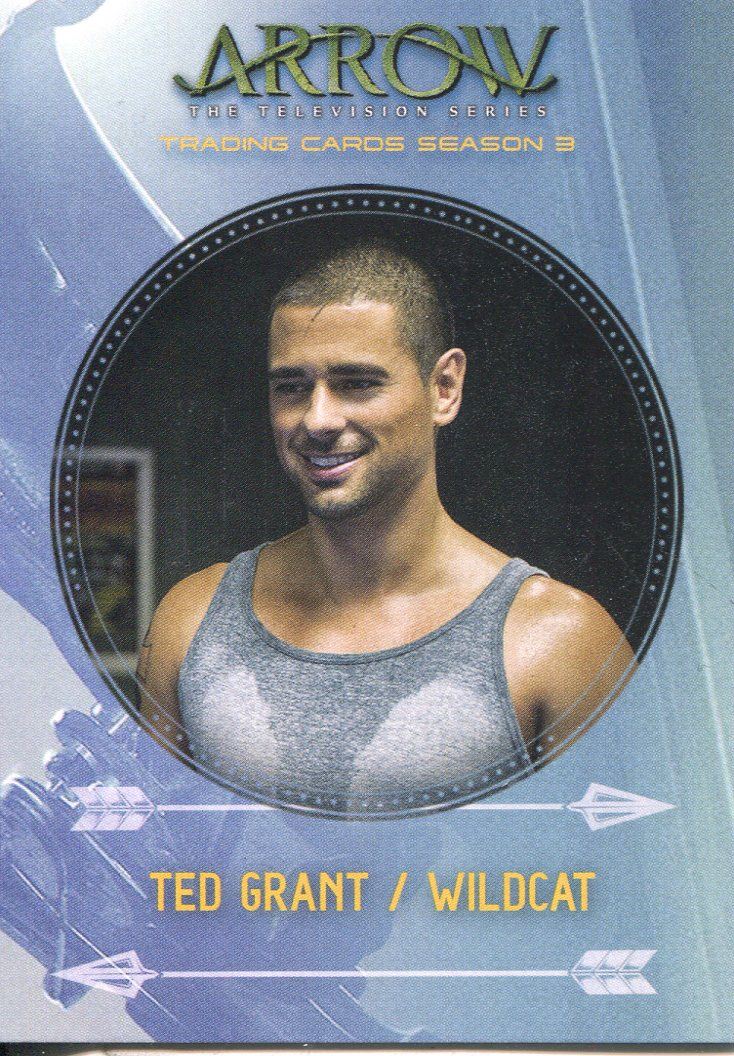 Arrow Season 3 Foil Character Bio Chase Card C3 Sin