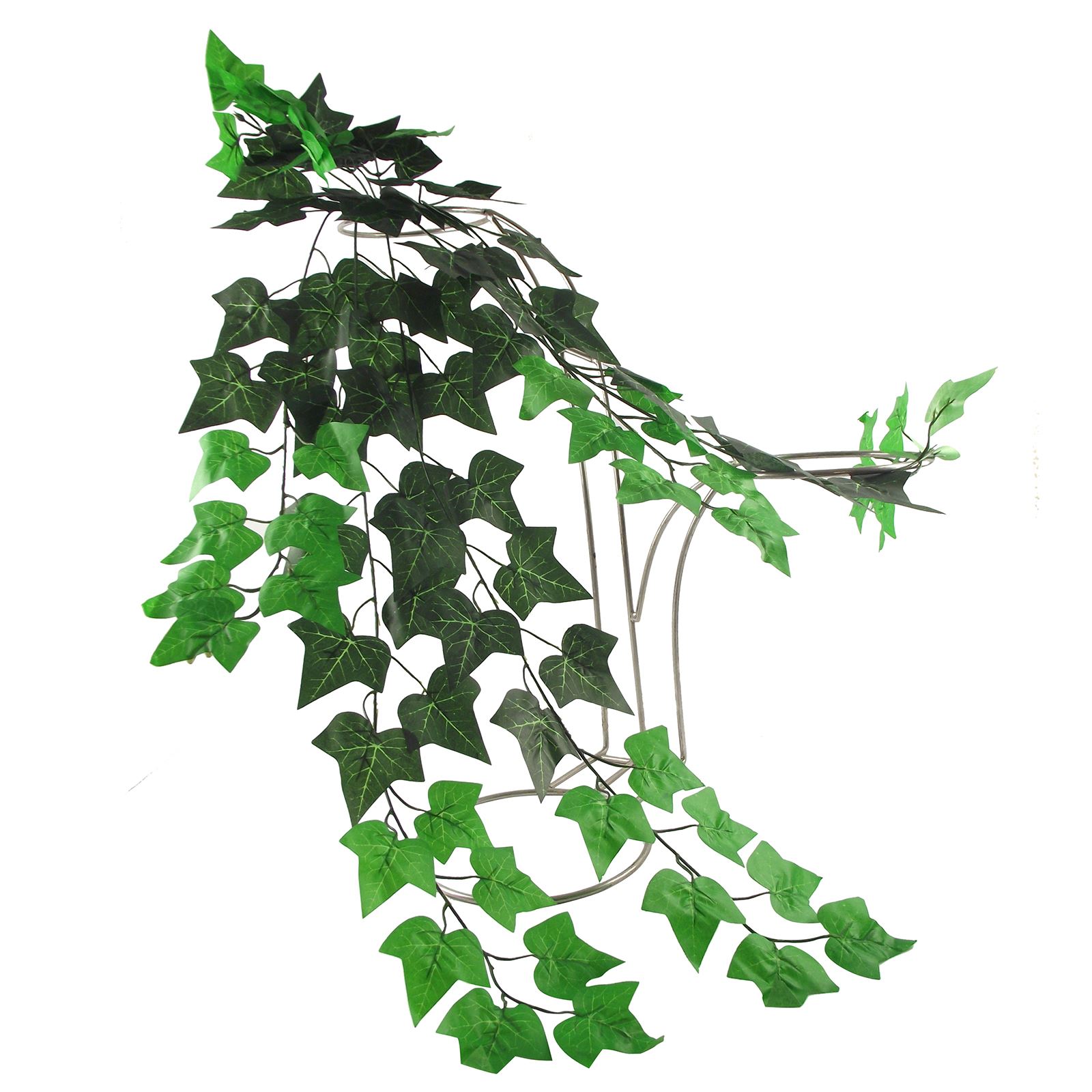 Thick Trailing Ivy Pick Vine Bunch for Trellis Hanging Baskets eBay