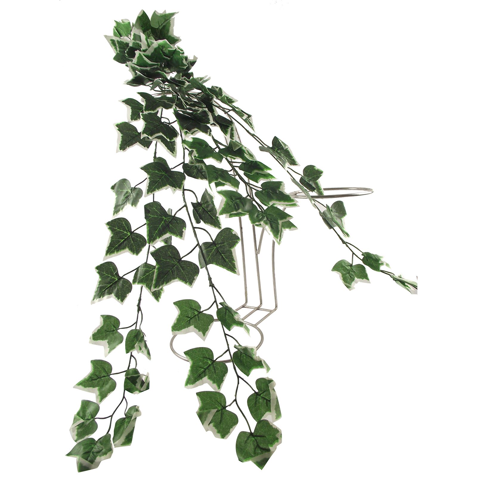 Thick Trailing Ivy Pick Vine Bunch for Trellis Hanging Baskets eBay