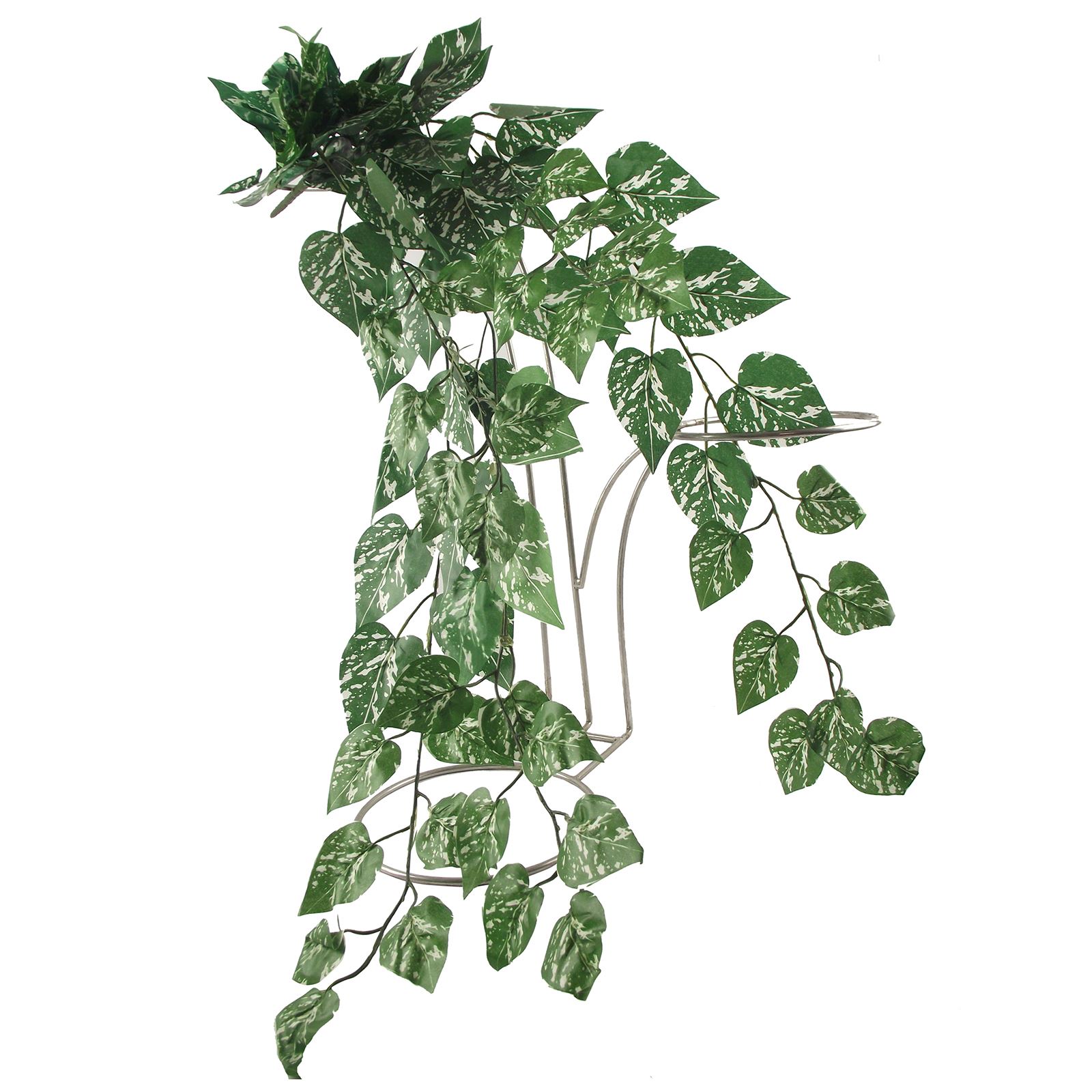 Thick Trailing Ivy Pick Vine Bunch for Trellis Hanging Baskets eBay