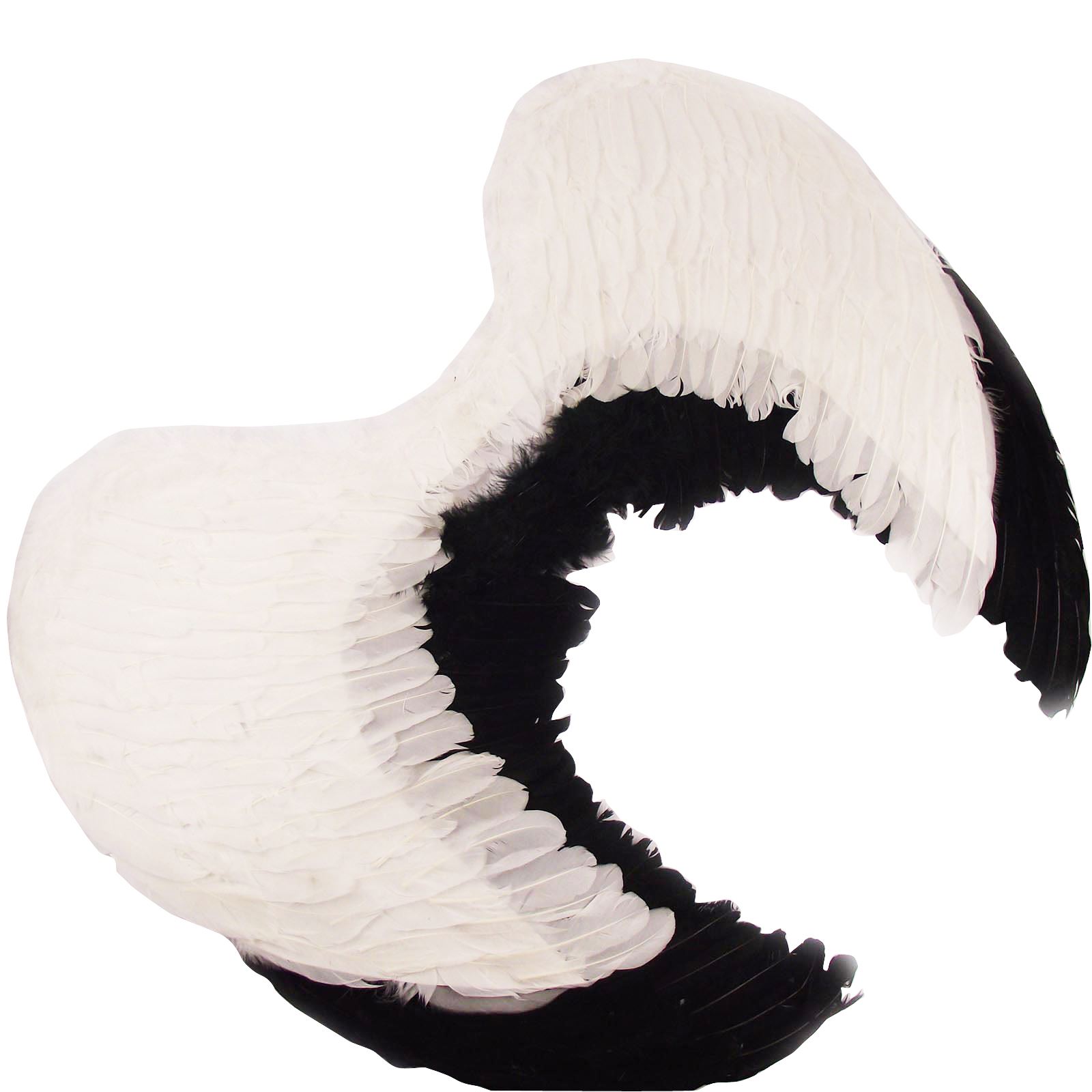 Real Feather Angel Wings! 3 Sizes! Dark Angels! Fancy Dress - Picture 4 of 6
