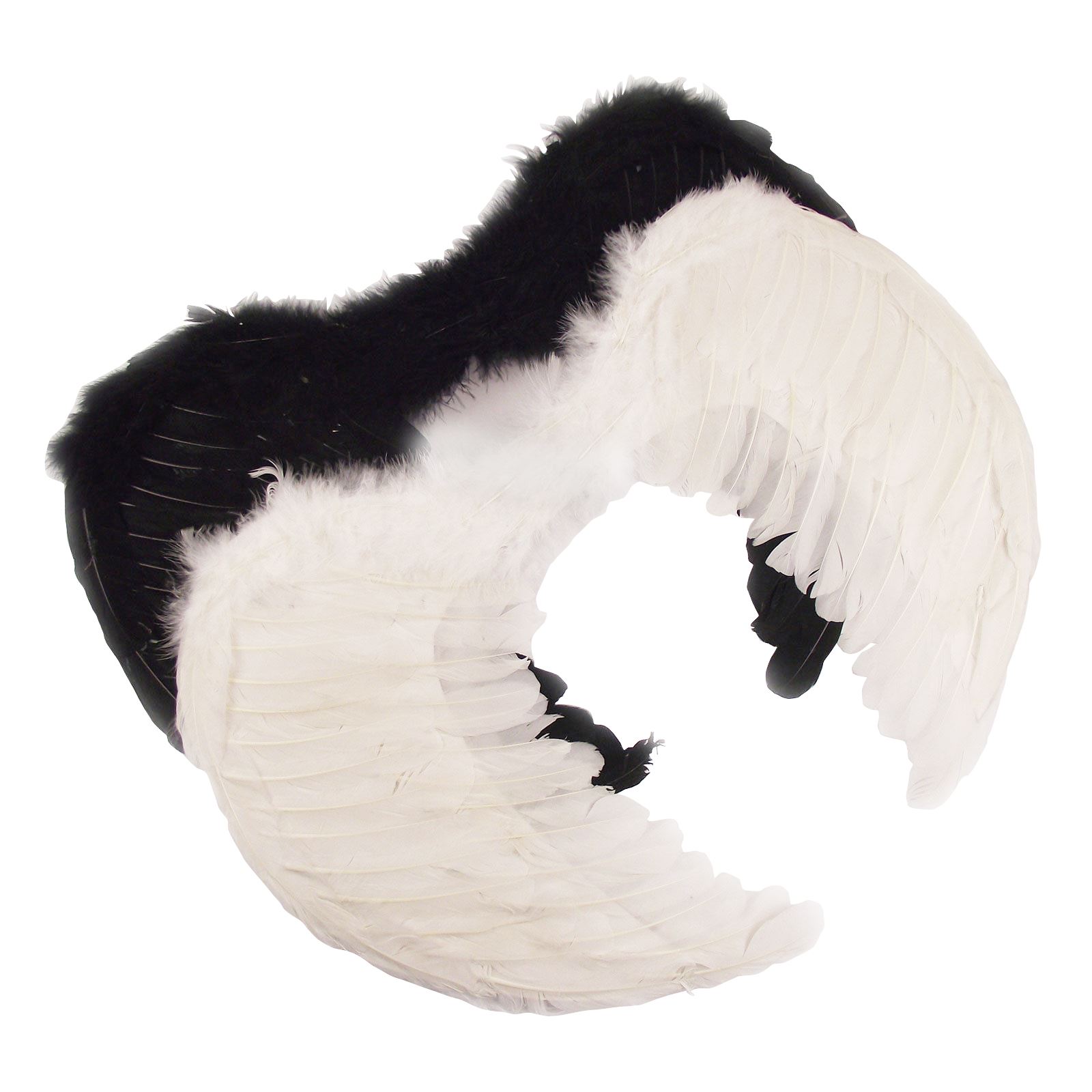 Real Feather Angel Wings! 3 Sizes! Dark Angels! Fancy Dress - Picture 5 of 6