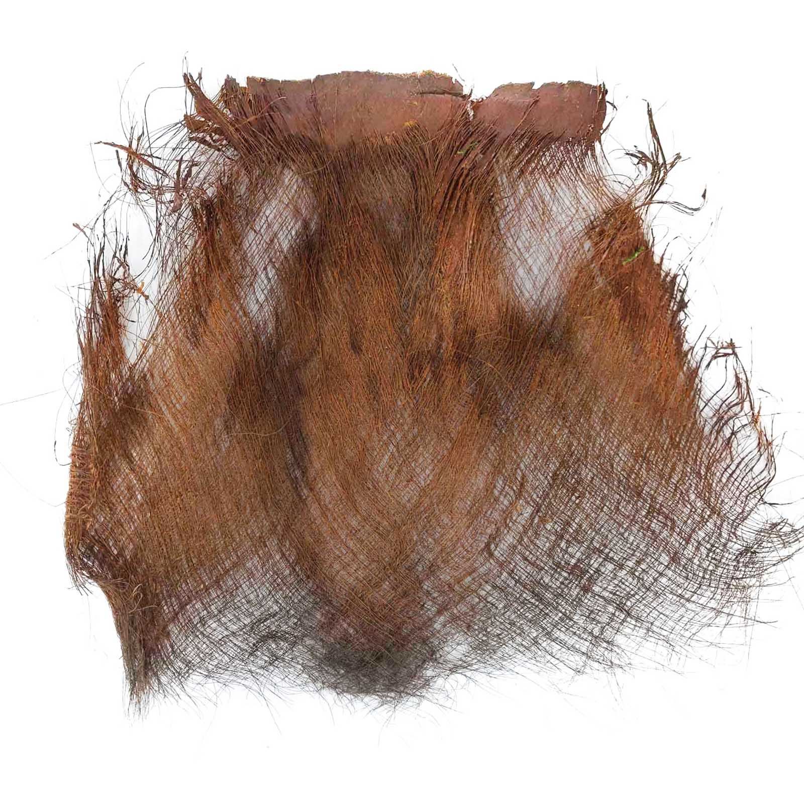 Dried Preserved Palm Tree Hair Fluff - Natural Raffia Bark Trunk Palm Fiber - Picture 2 of 4