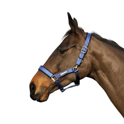 Cottage Craft - Horse Headcollar Turnout Safe Pony Royal Cottage Craft - Horse Headcollar Turnout Safe Pony Royal