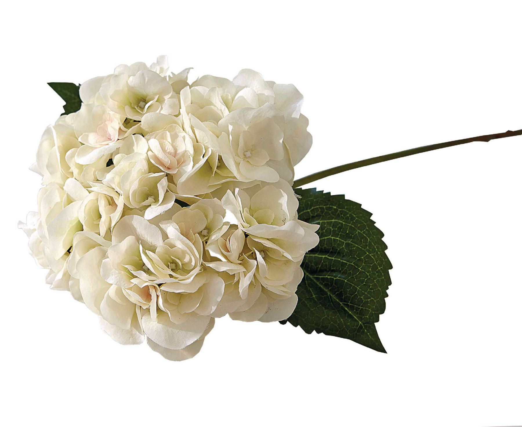 Bloom Single White Hydrangea Stem Artificial Silk Flower Arrangement