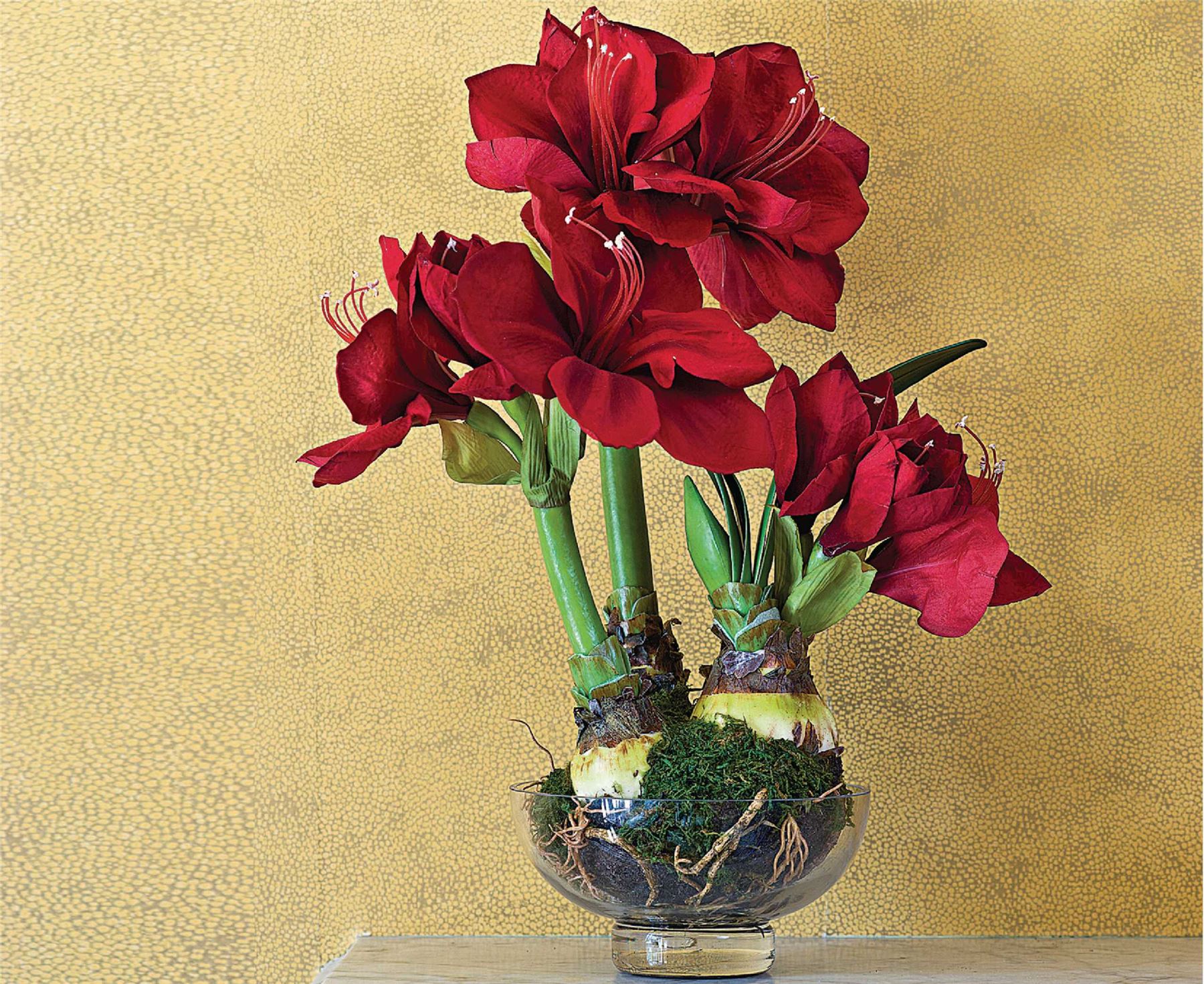 Bloom Red Triple Amaryllis Artificial Flower Silk Glass Vase Pot