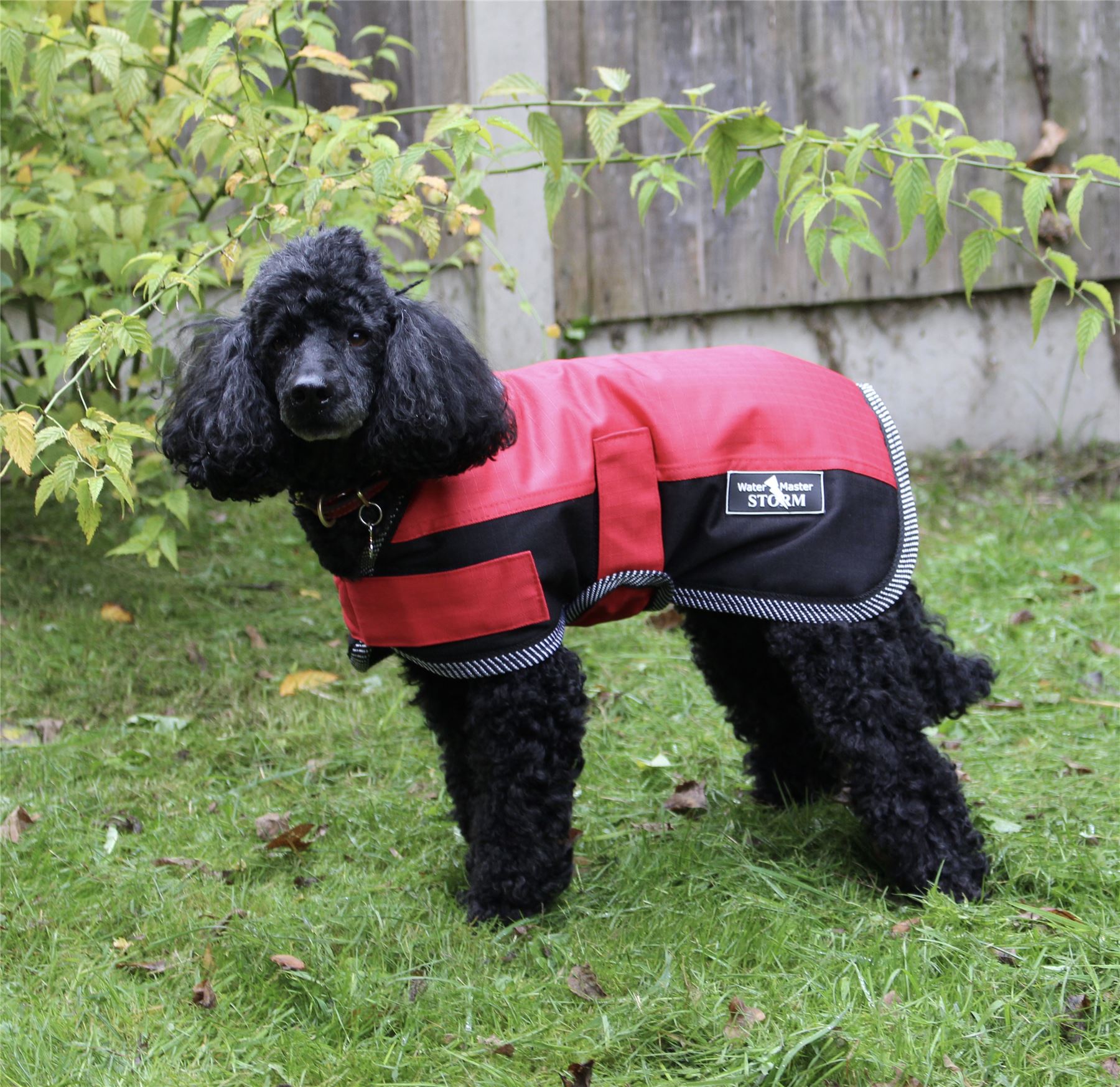 dog storm coat