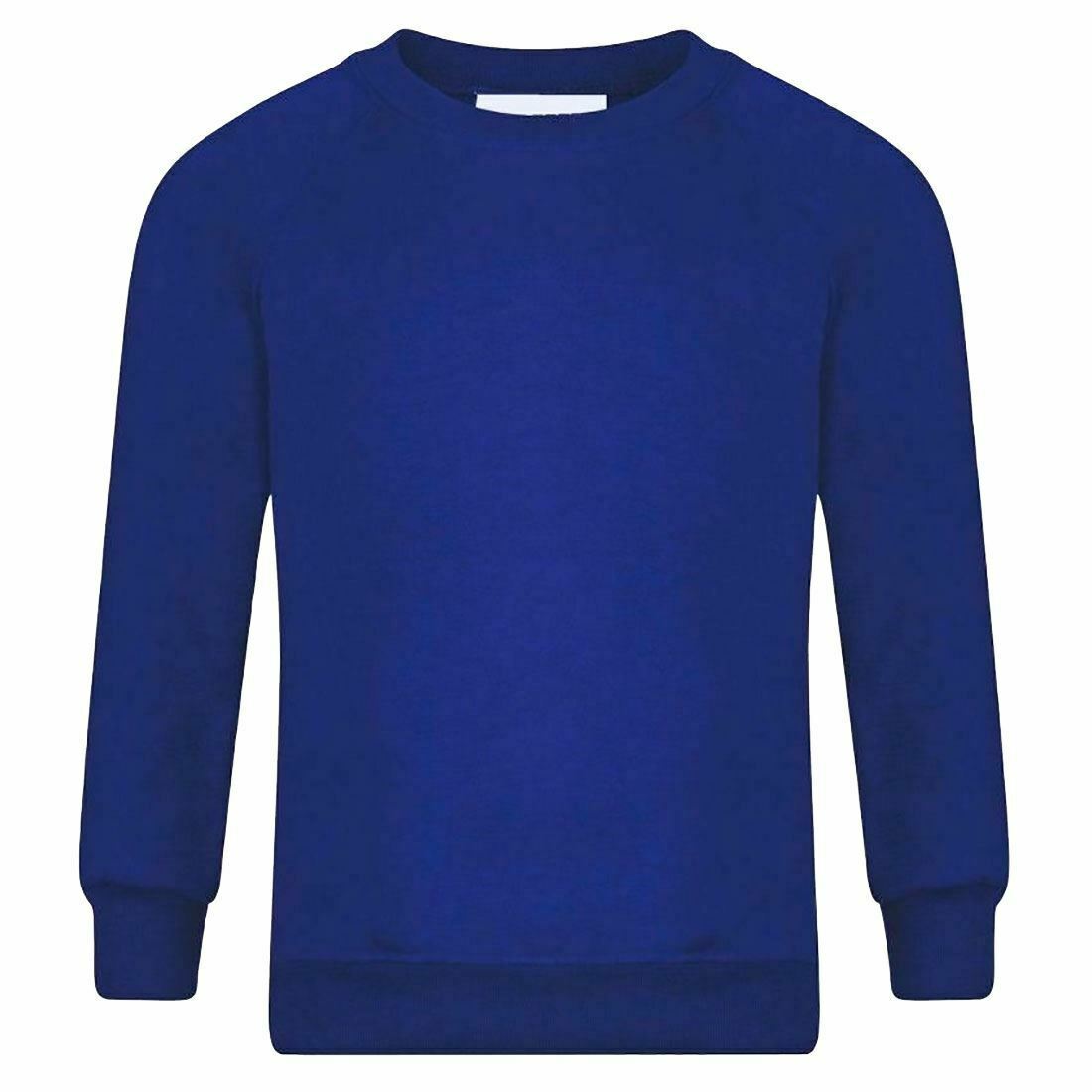 Adults Kids Crew Neck Plain Sweatshirt Girls Boys School Office Wear Jumper Top - Picture 11 of 11