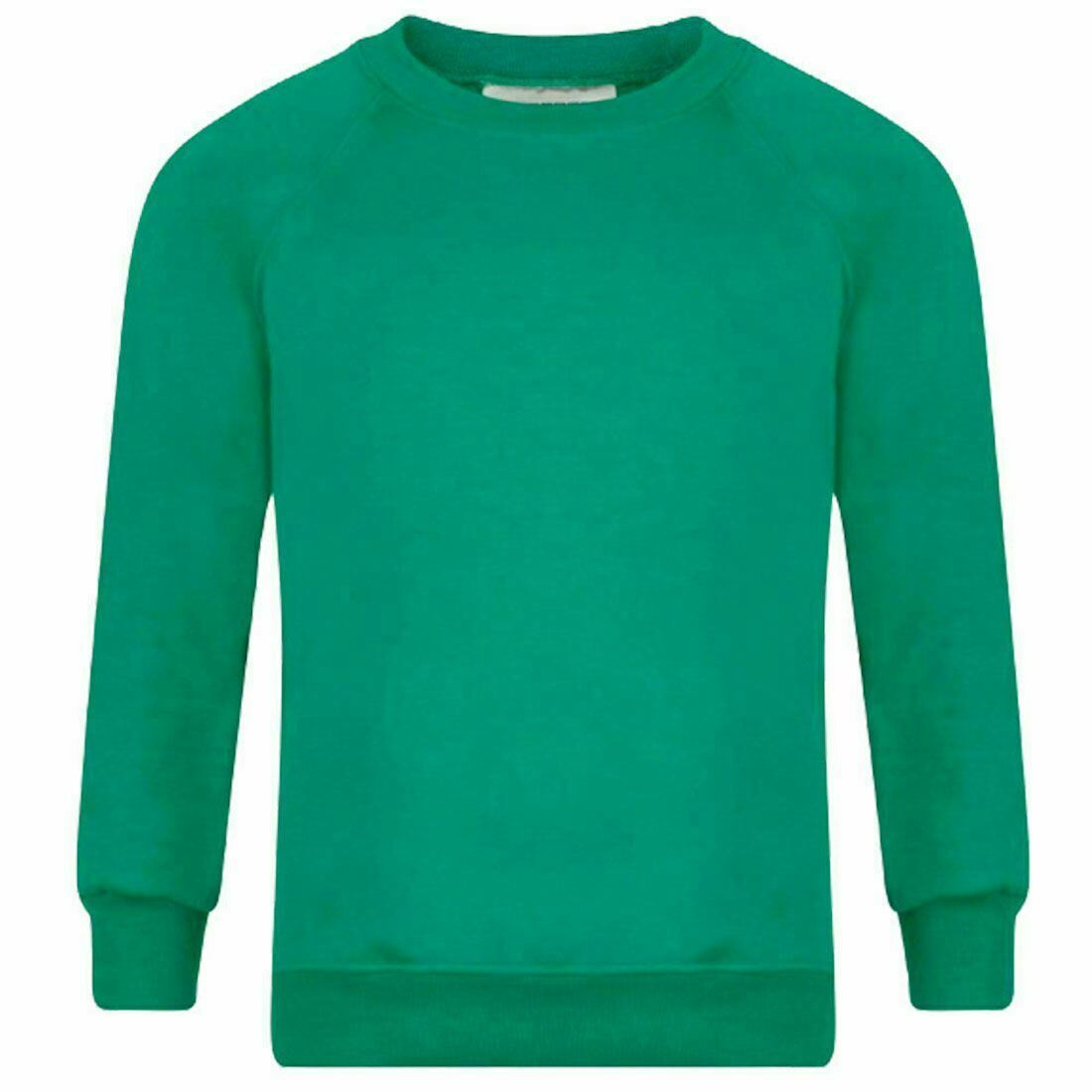 Adults Kids Crew Neck Plain Sweatshirt Girls Boys School Office Wear Jumper Top - Picture 6 of 11