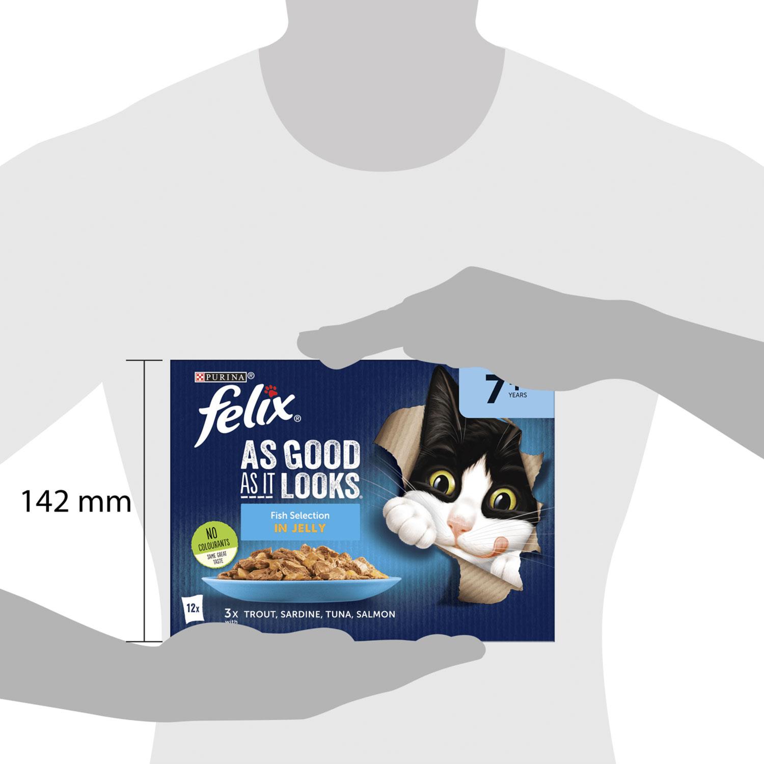 Felix mokra karma dla kotów tak dobra, jak wygląda Mieszaj ryby w galaretce - opakowania zbiorcze - Zdjęcie 12 z 28