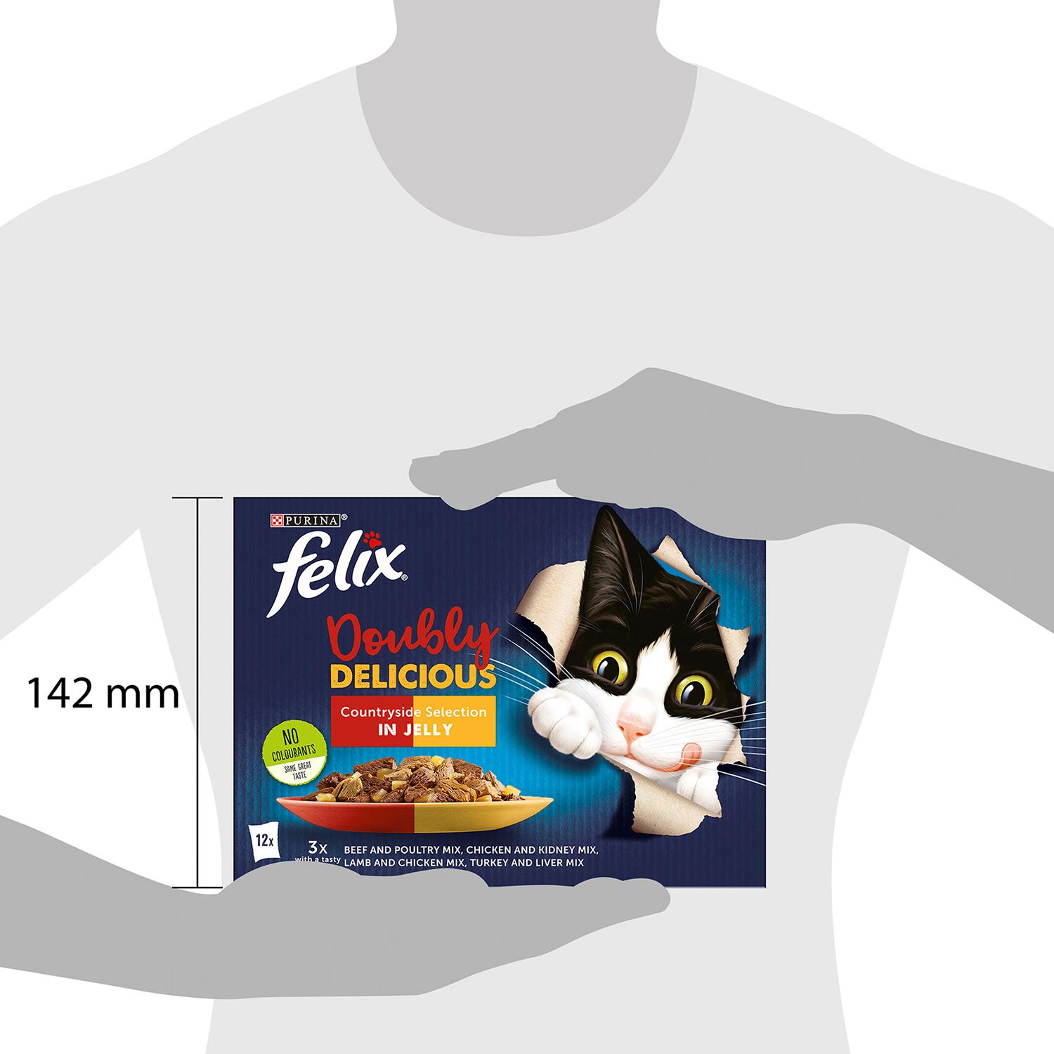 Felix Karma dla dorosłych kotów Podwójnie pyszny wybór na wsi w galaretce - opakowania zbiorcze - Zdjęcie 28 z 33