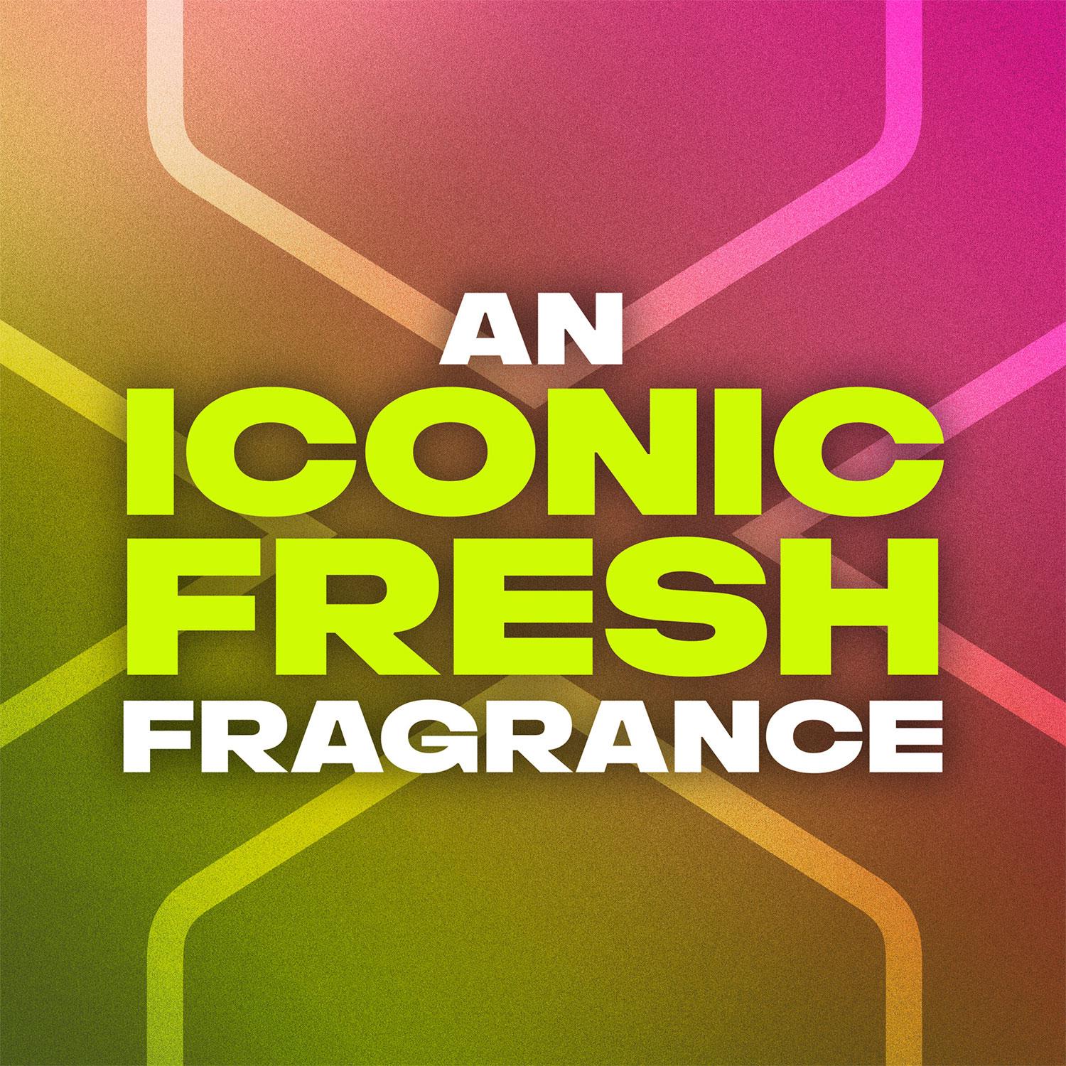Lynx Africa, Epic Fresh or Sunset Fresh Anti-Perspirant Roll On 50ml, 36 Pack - Picture 25 of 31