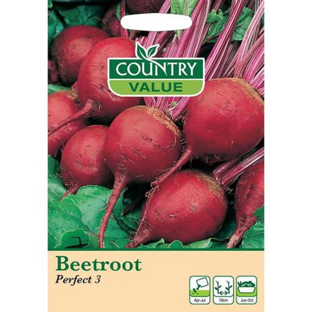 VEGETABLE SEEDS carrots beetroot radish turnip Root vegetable Grow Sow