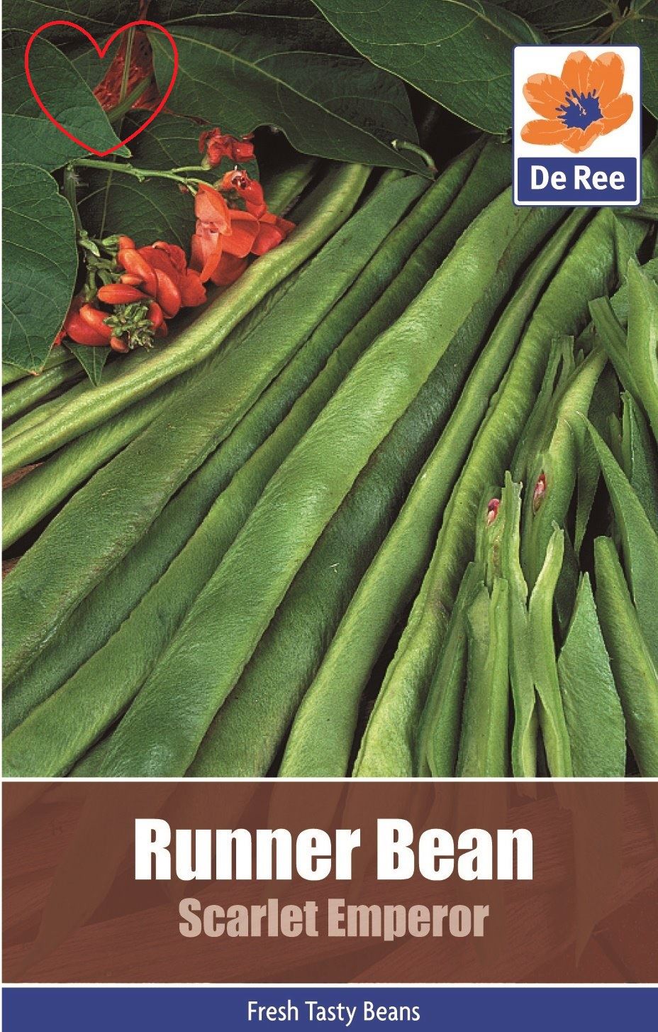 Vegetable run. Runner beans. runner bean scarlett emperor.