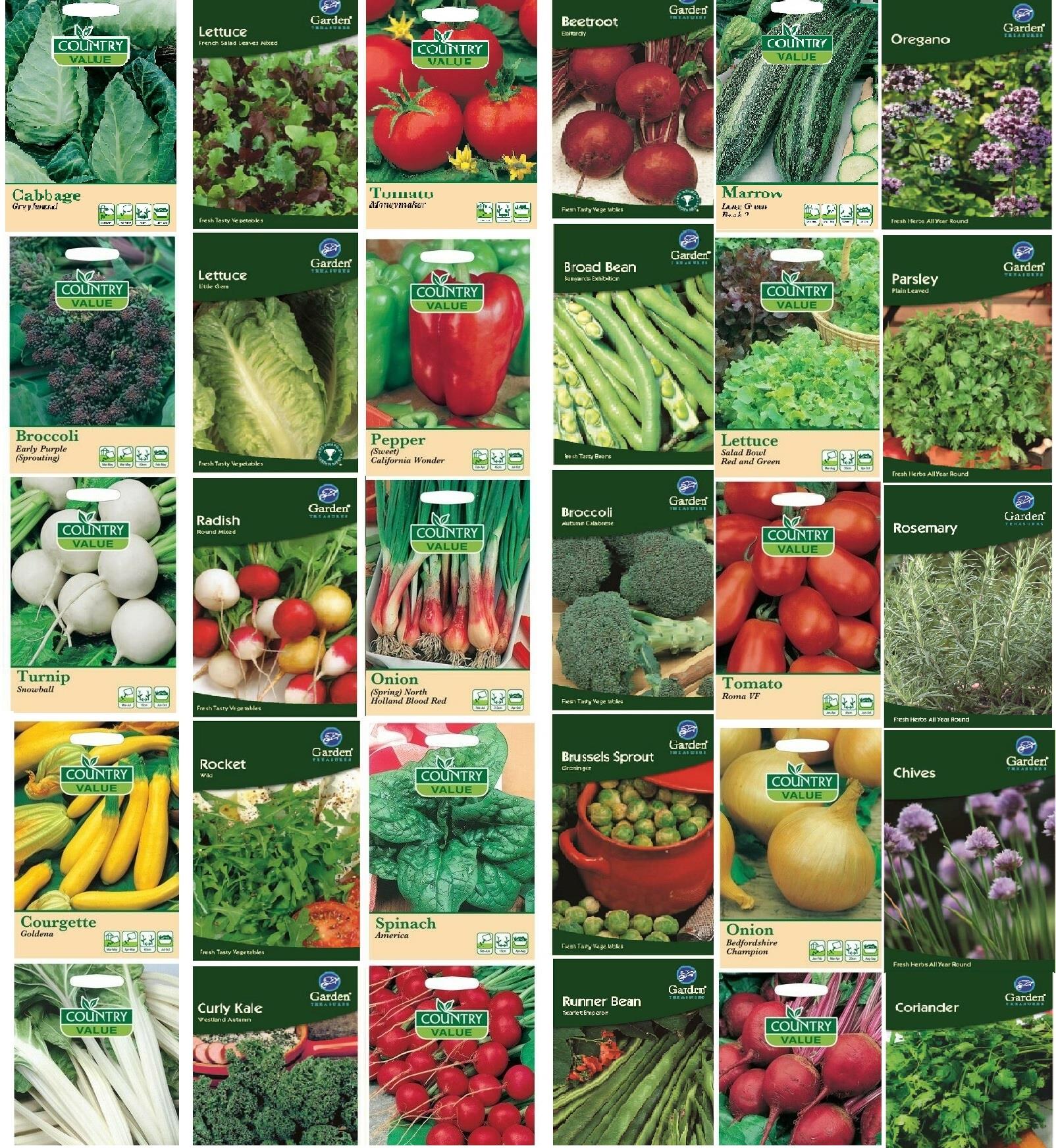 Beetroot Seeds Boltardy by Country Value Veg FREE UK DELIVERY Vegetable Seeds